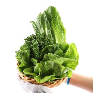 갤러리아_[맛딜]무농약 GAP인증 모듬 샐러드 채소 1kg