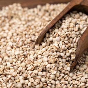 국산 율무 500g x 2봉 l 율무쌀 잡곡 l 지퍼팩 소포장