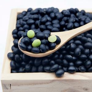 국산 서리태 500g x 2봉 l 속청 검은콩 검정콩 잡곡 l 지퍼팩 소포장