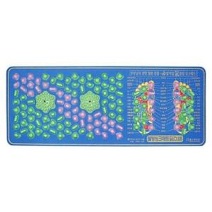 헬스원 웰빙 주방싱크매트 WSM-100A - 발지압매트