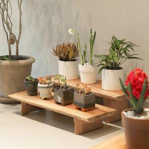 우드 스탠드 선반 원목 화분대 60cm 2단 진열 2P 세트 (WE3CE22)