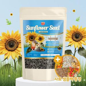 스위트버디 해바라기씨 500g 앵무새 햄스터 간식 사료