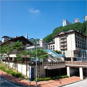 [강원] 하이원 밸리콘도 룸온리(12/01~02/28)