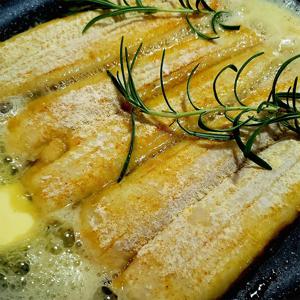 제주 손질 갈치 300g 구성별 선택