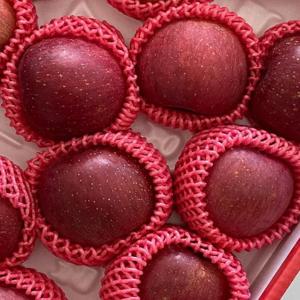 경북사과 부사사과 꿀사과 못난이사과 실속형사과(정품) 부사사과