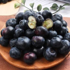 항공직송 칠레산 생 블루베리 4팩 (14mm) (125g/팩)