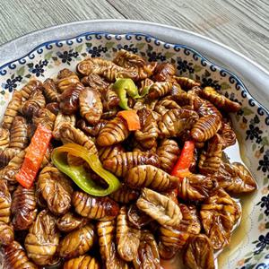 냉동 번데기 4kg