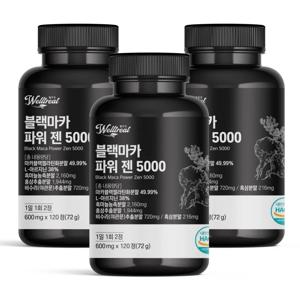 웰트릿 블랙마카 아르기닌 흑마늘 흑삼 함유 2+1