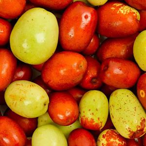 보은 생대추 500g 부터 자연이 주는 그대로 상큼 아삭 국내산 건강 간식