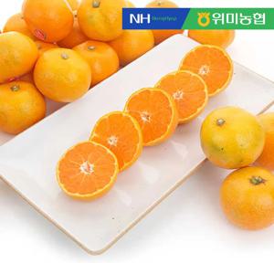 [위미농협] 싱귤생귤 12brix 고당도 제주 감귤 10kg