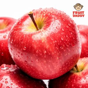 경북 꿀부사 아삭달콤 꿀사과 1.5KG/2.5KG