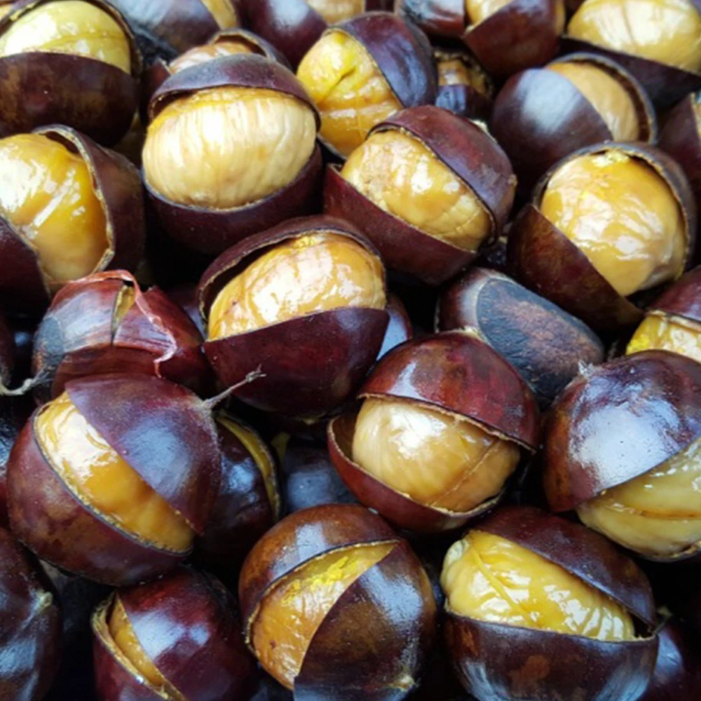 공주밤 2kg 대 깐밤 무칼집 칼집 약단밤 생율밤