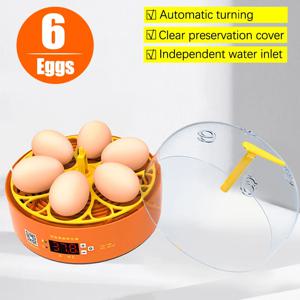 6 계란 인큐베이터 자동 회전 온도 조절 번식 부화장 치킨 메추라기 오리 새 미니 부화기 인큐베이션 장치