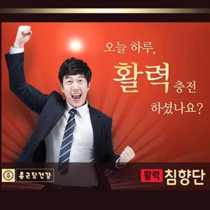 종근당건강 활력침향단 3.75g x 30환 침향단