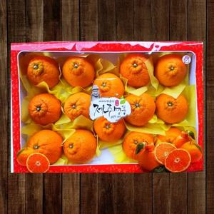 [알리특가] 제주 산지직송 한라봉 가정용 선물용 벌크 2kg 3kg 5kg 과일 황금향 천혜향 레드향 감귤