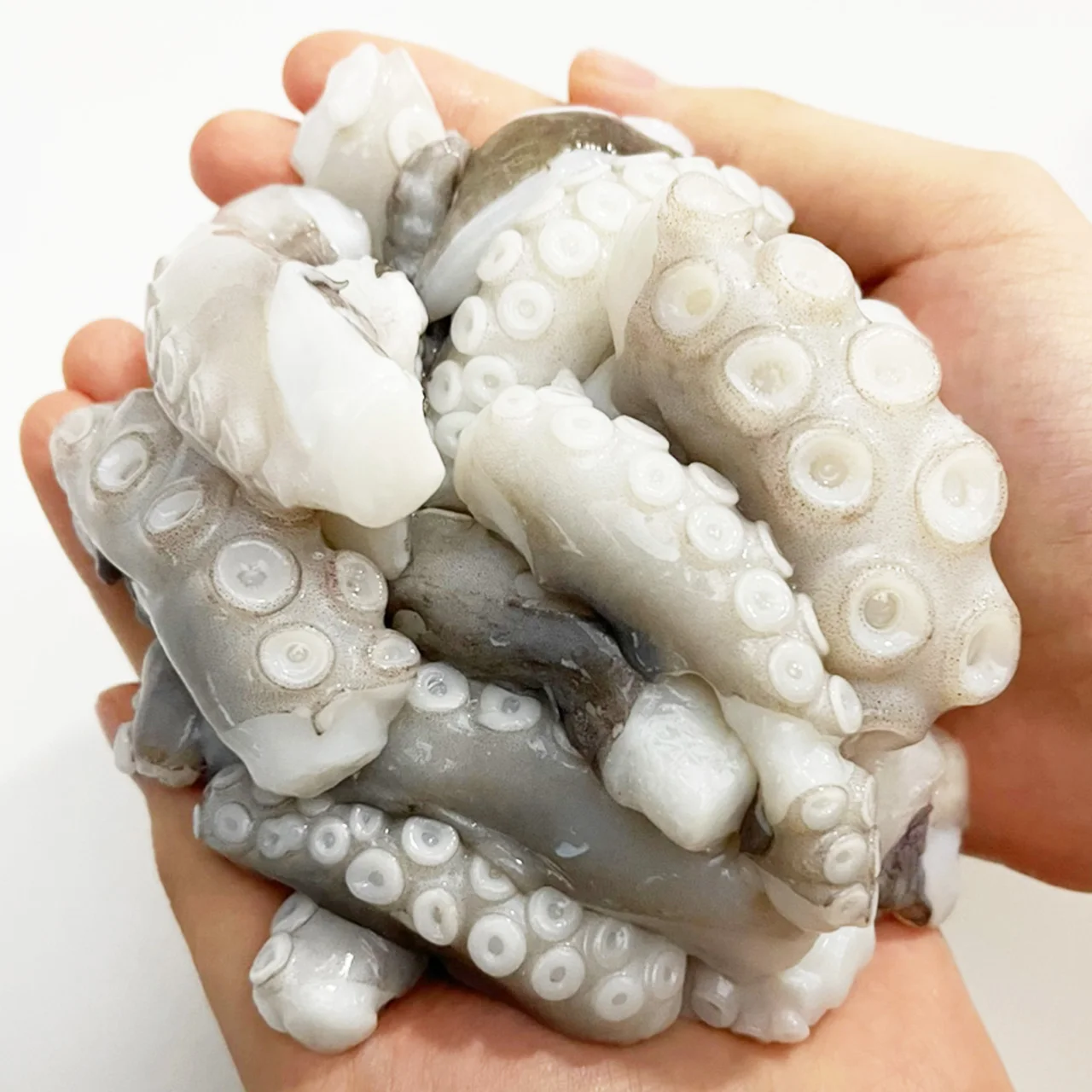 손질 왕특대(XXL) 낙지 1.8kg(450g×4팩)｜낙지볶음(자갈치비법소스4봉)