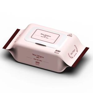 국내생산 9단계 정제수 저자극 물티슈 캡형 100매 대용량, 무향 플레인 레이온 물티슈, 10팩,20팩