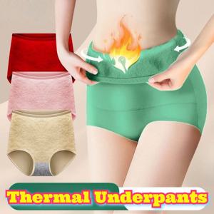 하이웨이스트 코튼 보온 속옷 뱃살 보정 팬티 앞뒤 플리스 안감 항균 가셋 논웨지 쉐이프웨어