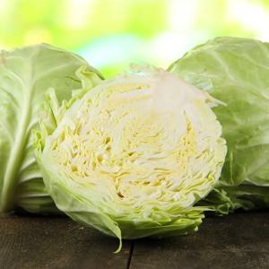 친환경 무농약 꼬마양배추 5kg