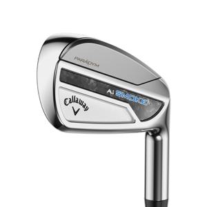 패러다임 AI스모크 남성 스틸 9아이언[NS 950 Neo/5~PAGS]