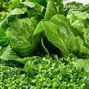 [동김제농협]  유러피안샐러드 3-4종 1kg 대용량 야채믹스 채소믹스