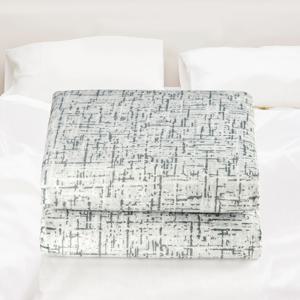 전기요 EMF 인증 극세사 침대 거실 전자파없는 전기장판 2인용 D820BT 더블 퀸 전기매트