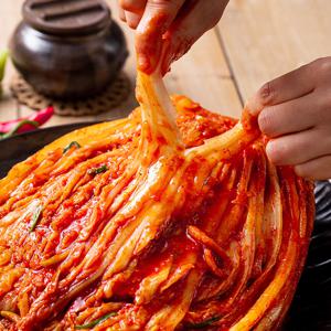 당일제조 담백 깔끔한 중부식 배추김치 5kg 10kg