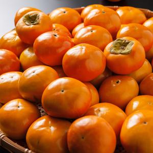 국내산 부유단감(소과) 3kg(21-24과내외) 외