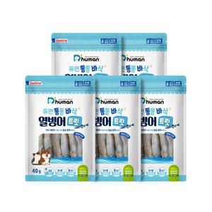 [듀먼] 통통바삭 열빙어트릿 5팩