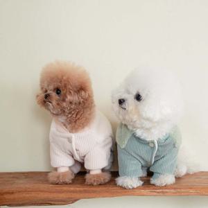 펫츠랜드 겨울 강아지옷 올인원패딩 로이