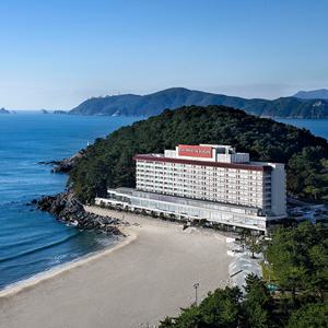 공식인증 단독 웨스틴 조선 부산 까밀리아뷔페