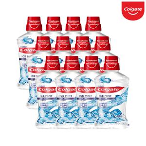 여행용 가글 구강청결제 구취 입냄새 제거 구강세정 아이스민트 250ml 12개