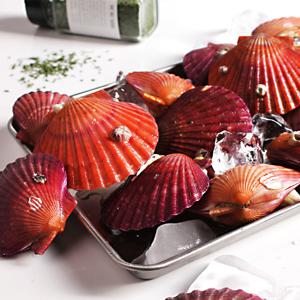 산지직송 쫄깃달콤 통영 홍 가리비 1kg