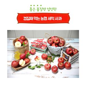 충북음성 천생연 세척사과_부사 3kg*2박스