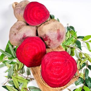 건강한 붉은빛 국내산 레드비트 골라담기