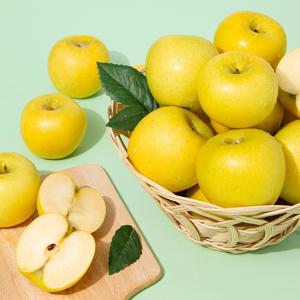 [더조은] 황금사과 시나노골드 가정용 2kg 14-16과