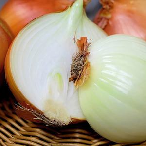 25년산 햇 양파 3kg(소/중/대)