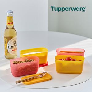 싱싱블록 미니 직사각 250ml 2개