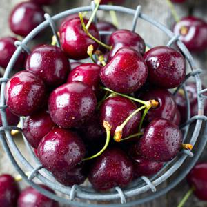 거북농산) 새콤달콤 생 체리 / 칠레산 체리  2.5kg  - 옵션선택