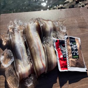 자연산 통영 대짜 바다장어 1kg (2-3미) 소스 2종 증정 아나고 손질 장어 국내산 대사이즈 최상급