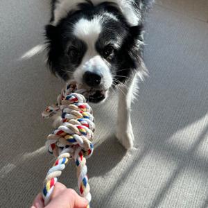 오늘도구름상회 강아지 이중매듭 로프 터그놀이 대형견 장난감