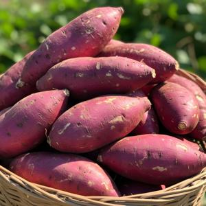 황토 햇 고구마 무안 세척 꿀고구마 3kg5kg 무안 황토밭에서 자란 건강한 세척 꿀고구마