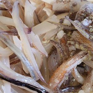 오징어회 오징어 손질후 200g / 250g (손질 전 1미~1.5미) / 야채+초장 포함