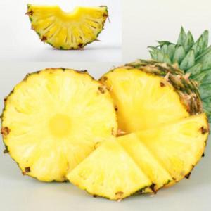 프리미엄 허니 골드 파인애플 고당도 열대과일 제수용 6kg 대과2수 3수