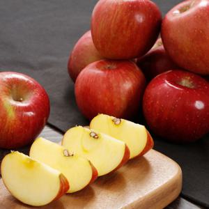 청송 사과 꿀 과즙팡팡 햇 부사 경북 선물용 3kg