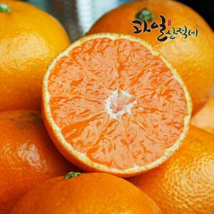 (신선집중) 제주 감귤 9kg 중대과 ( L~2L사이즈 )