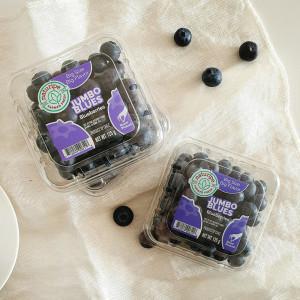 (신선집중) 칠레산 생 블루베리 (14~16mm) 팩당 125g내외 x 10팩