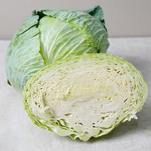 (신선집중) 양배추 전라도 무안 양배추 5kg내외(3통내외)