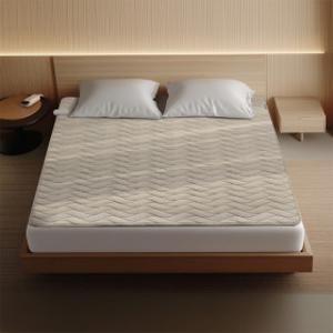 (한정특가)쿠쿠 DC카본 전기 온열 매트(퀸) 리모콘 포함 향균 마이크로 원단 CHM-BC10Q