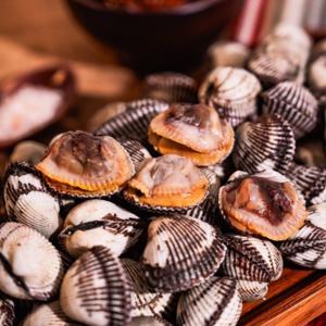 반도수산  벌교 새꼬막 / 당일 채취 / 신선 배송